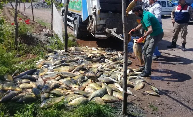 1200 Kg Kaçak Balığa El Konulup Çöpe Atıldı
