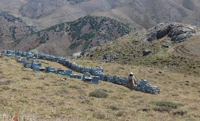 Güvenlik endişelerinin kalktığı Akdağ Yaylası arıcıları cezbediyor 