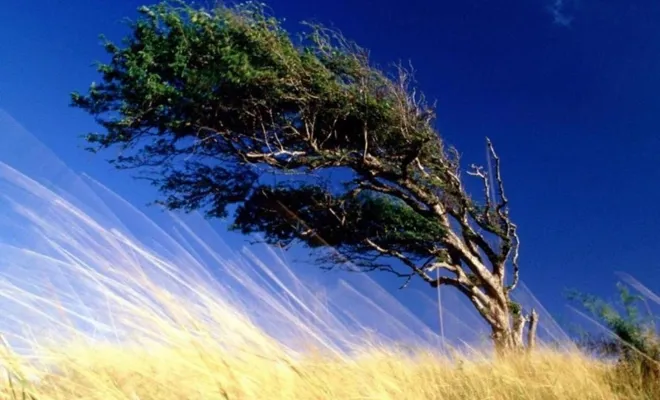Meteorolojiden kuvvetli rüzgâr uyarısı 