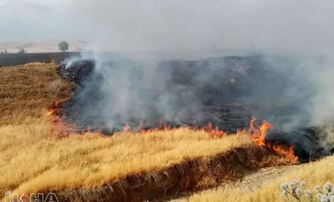 Kovancılar'da 40 dönüm buğday ve arpa ekili alanda yangın çıktı 