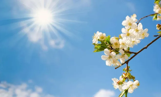 Baharın müjdecisi ilk cemre düştü