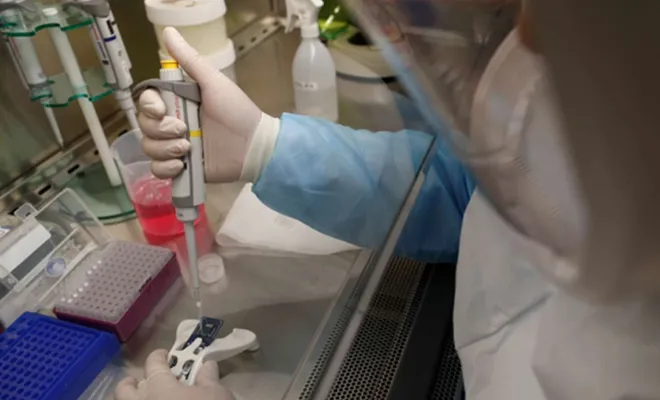 Türkiye'de ilk maymun çiçeği vakası görüldü