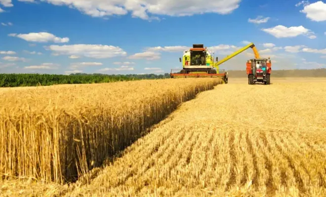 Tarımsal destek ödemeleri başladı 