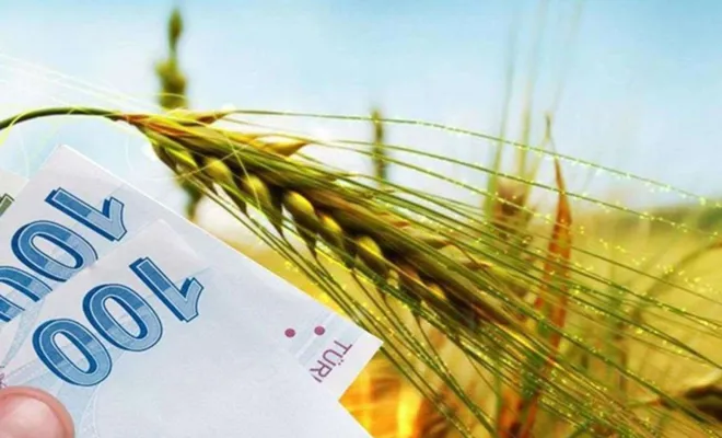 Tarımsal destek ödemeleri hesaplara yatırılıyor 
