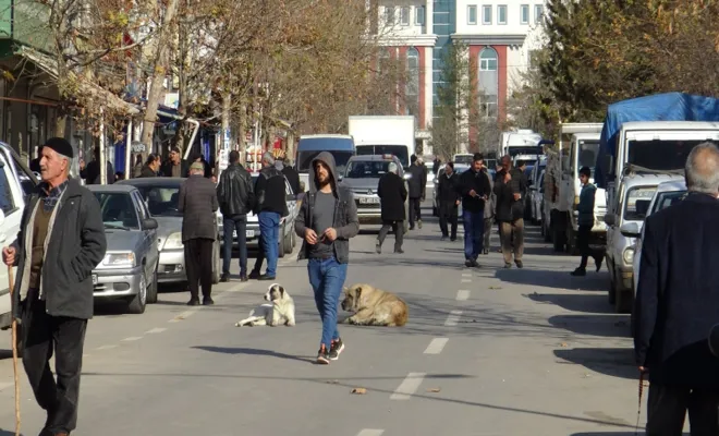 HÜDA PAR İlçe Başkanları ve vatandaşlar sokak köpekleri için barınak  yapılmasını talep ettiler