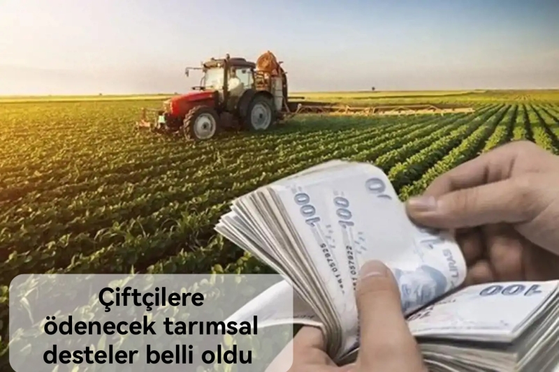 Çiftçilere ödenecek tarımsal desteler belli oldu 