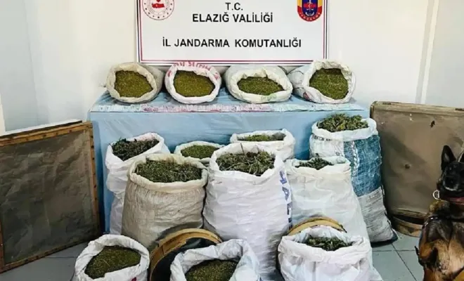 Arıcak'ta 241 kilo esrar ele geçirildi 