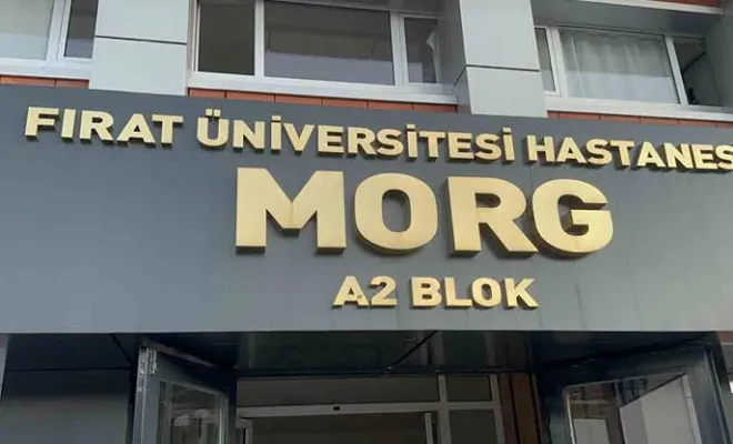 Elazığ’ın Palu ilçesinde kayalıklardan düşen bir kişi hayatını kaybetti